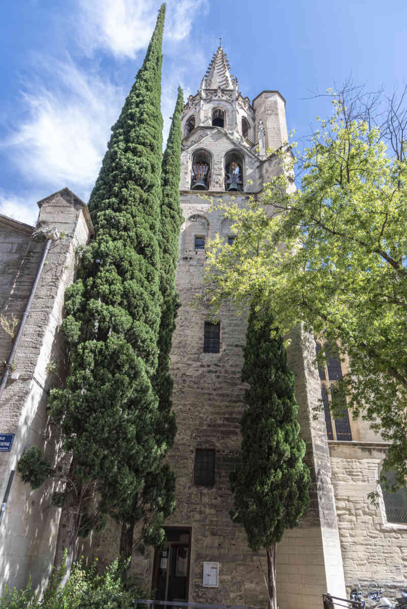 Francia - Avignon 063 - basílica de Saint-Pierre.jpg